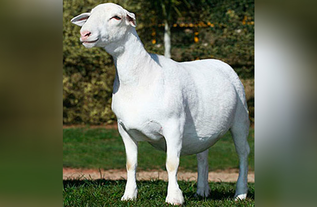 1289
