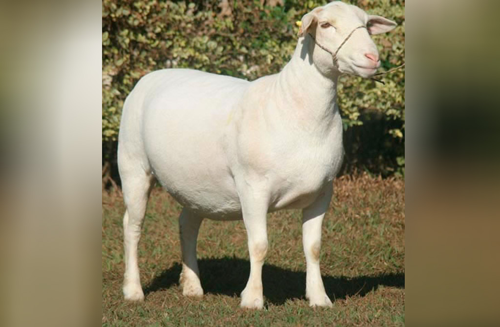 1290