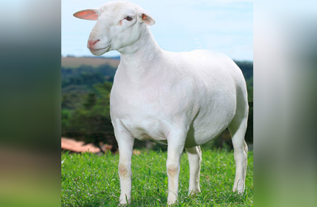 1423