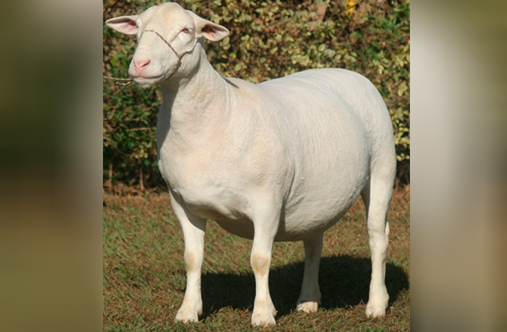 543