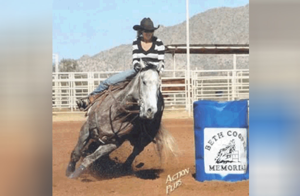 GO-FIGURE-FIESTA-(USA)